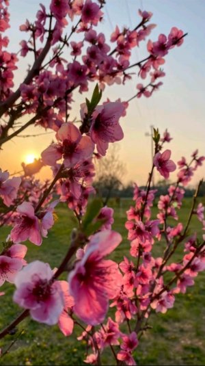 Урокиии🙄🙄