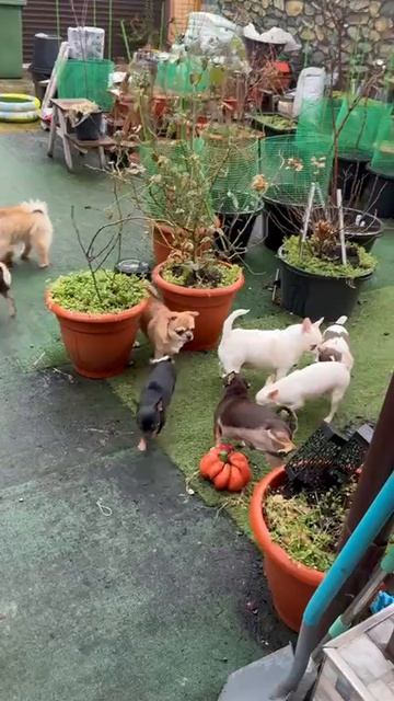 Всех созвала. смотреть онлайн