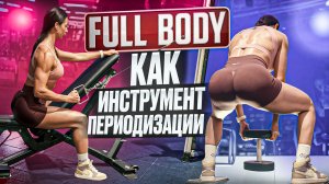 ✅FULL BODY как инструмент периодизации тренировок