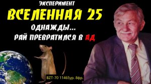 Вселенная 25