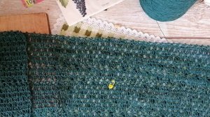 СП "Платье для Золушки "с Анжеликой Ботовой .Отчёт 2 за февраль