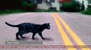 26.02.2026 Интересные факты. Суеверия