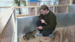 "Придумано — природой, сделано — человеком" Доцент МПГУ В.В.Алпатов на Первом канале. "Доброе утро"