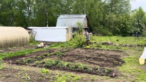 Купили дачу. Делаем мини огород. Сажаем зелень.