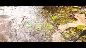 поездка за воблерами ЧАСТЬ 28