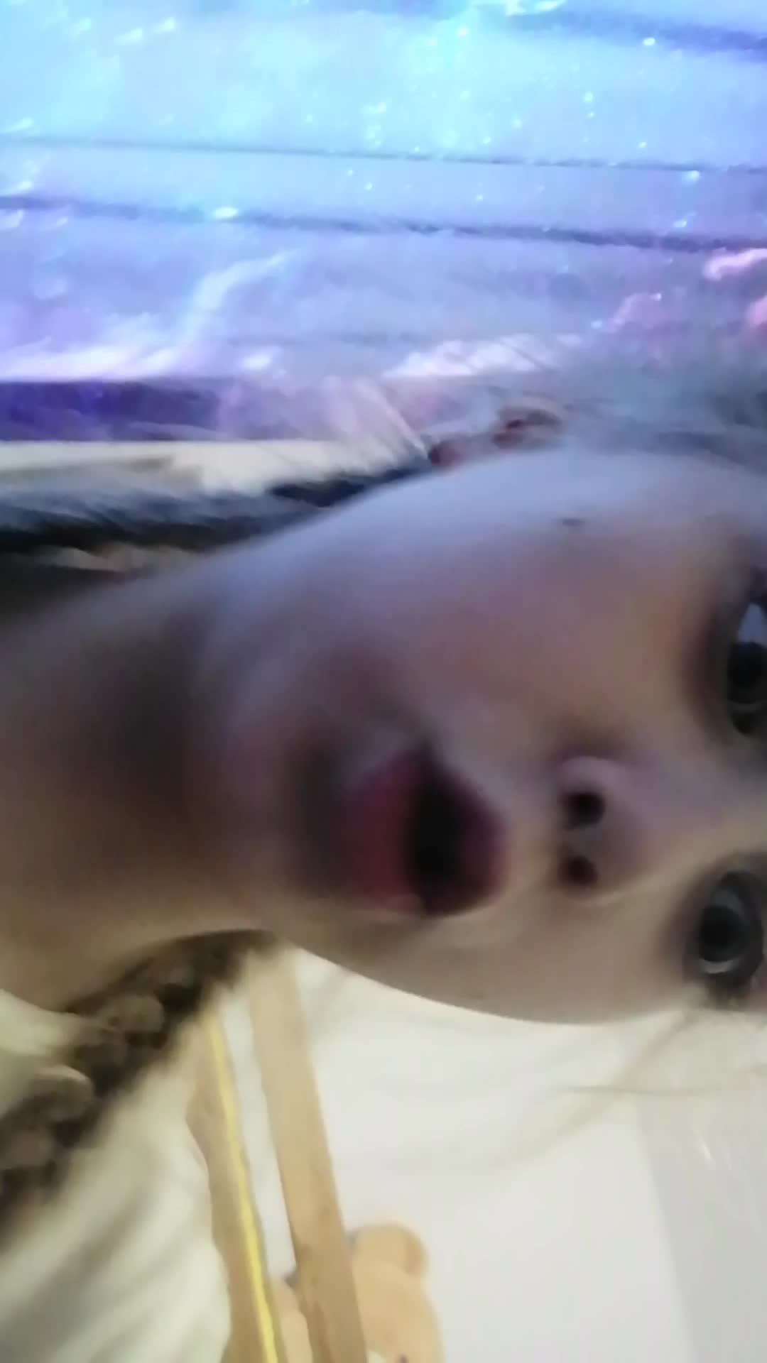 Влог с ЛЕРОЙ 🙄😏😰 смотреть онлайн