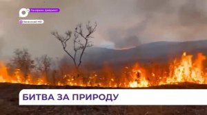 В Приморском крае ликвидирован крупный пожар