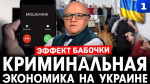 Эффект бабочки. Криминальная экономика на Украине