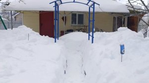 Чистим снег с теплиц. Домой.