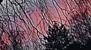 визор поменялся 😮