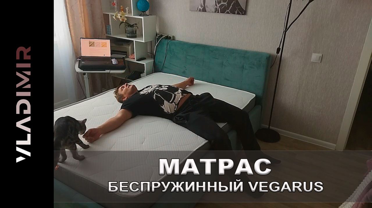 VEGARUS Delight 7 Zone 140×200 см, Матрас Беспружинный
