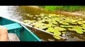 поездка за воблерами ЧАСТЬ 77