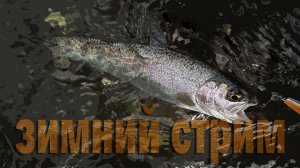 Зимний Стрим по Форели 2026🎣 #fishing #travel #mountains 🗻