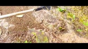 поездка за воблерами ЧАСТЬ 23