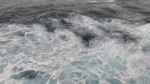 Индийский океан. 24.01.2025 г.