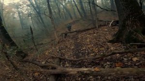 14. KURSK TUNING FORK