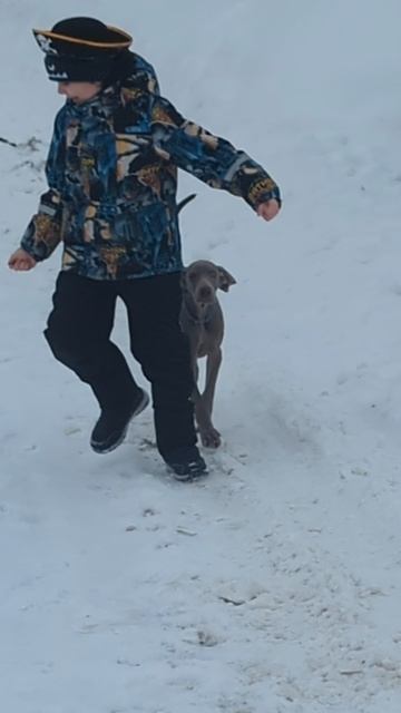 1000062302.mp4 смотреть онлайн