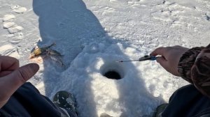 А окунь клевать отказывается