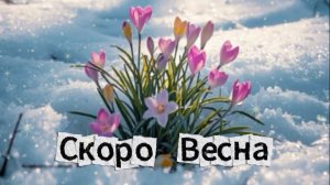 Скоро весна — станет тепло и солнечно! 🌸☀️ Видео с весенними пейзажами