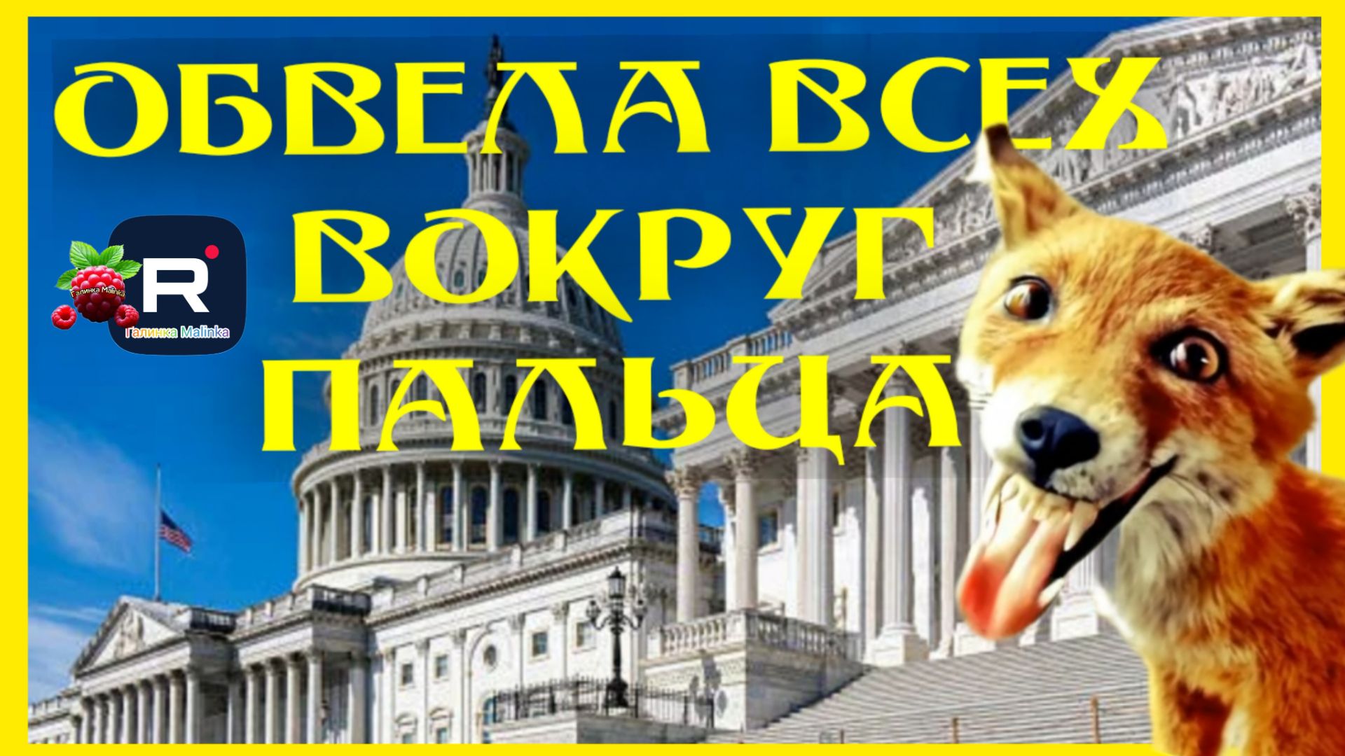 Лиса в Америке _Обвела всех вокруг пальца_Обзор _Big Big Family _Funny 4 _Будни многодеточки _