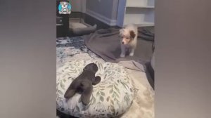 немного юмора