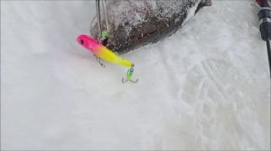 Поимки, сходы, обрывы. Спорт-зона. Клёвое Место Лосиный остров.