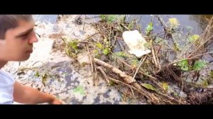 поездка за воблерами ЧАСТЬ 45