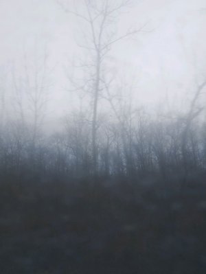 читаю историю , и объясняю ,6 класс 2 часть стр 176-178 параграф 34-35 пункт 1-3