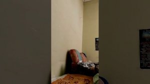 Всем привет 👍