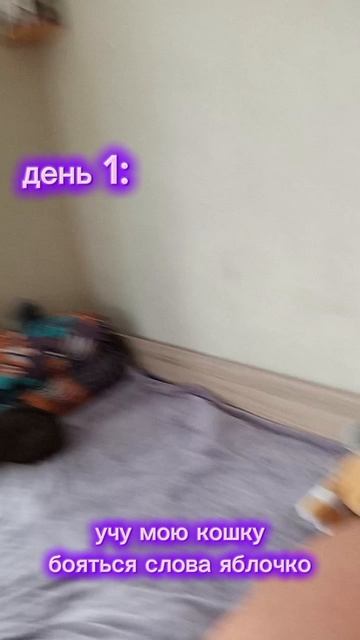 кошечка восторге😁 смотреть онлайн