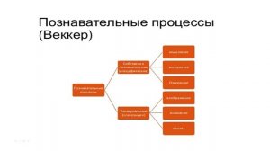Познавательные процессы