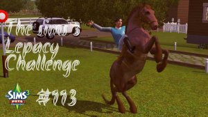 The Sims 3 Lepacy Challenge #113 || Шестое поколение || Укротитель мустангов
