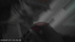 Гринч ест торт с пончиком