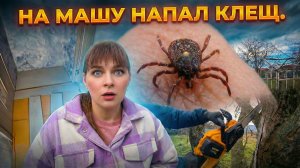 НА МАШУ НАПАЛ КЛЕЩ. УКЛАДЫВАЕМ ЛАМИНАТ.  Из города в деревню — 898 серия