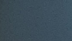 общение с котлетками