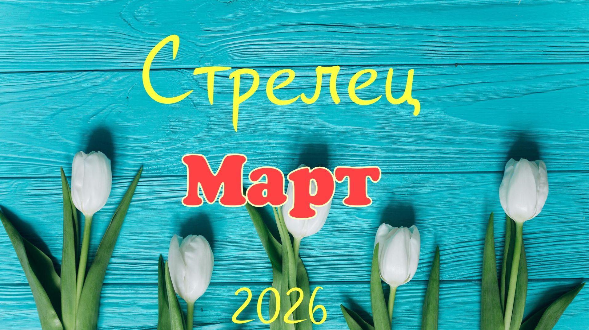 Стрелец♐ Таро- прогноз на Март🕊