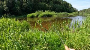 Рыбалка на Быстрице. Новое место. Начало лета, голавль капризничает!