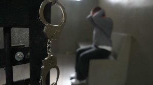 Полицейского обвинили в хищении деревьев ценных пород на 1 млн в КЧР