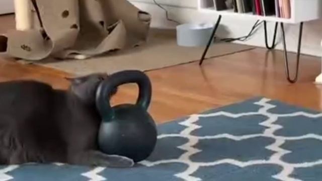 Зарядка ПОЗИТИВОМ!) Хорошего дня. YURA0_001😀👏👍🚀😇🔥🤝😁❤ смотреть онлайн