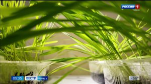 Вести-Томск, выпуск от 26.02.2026 09:30