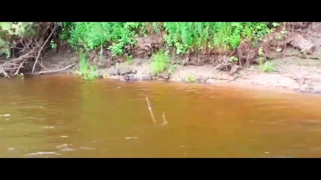 поездка за воблерами ЧАСТЬ 63