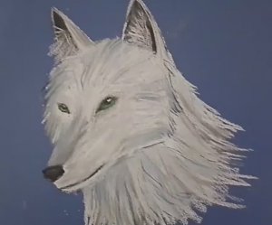 Белая волчица сухой пастелью