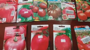 Лучшие сорта томатов для посадки |Замачиваю семена томатов | Посев перцев на рассаду |