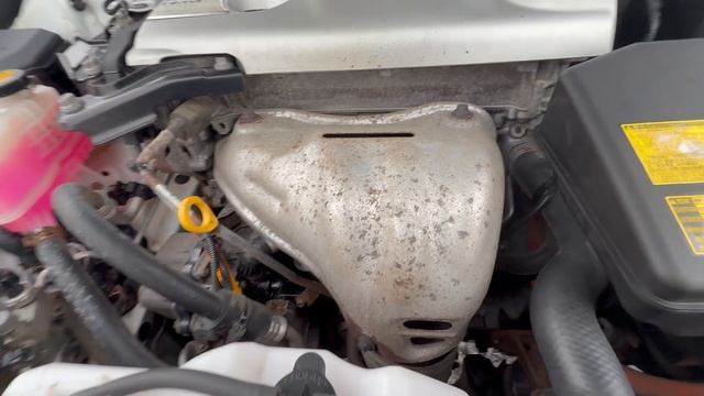 LexES смотреть онлайн