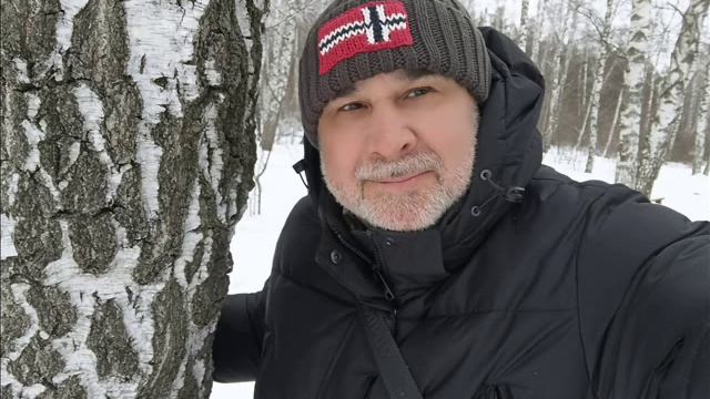 Последняя печать .Александр Громов.