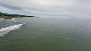 Сахалинские нерпы. Пограничное. Сахалин