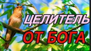 Чарующее Пение  Соловья - Целителя от БогаSpring Trills of the Nightingale - Healer from God!