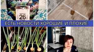 26-02-2026 Заболела🤕Куда поеду летом🤔Крыша течёт🤦Муж уехал❤️Вызвала метролога👍Прошла медосмотр🩺