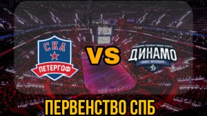 СКА Петергоф 14 - Динамо 14