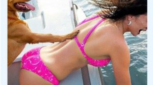 Смеяться Разрешается!😂😂😂